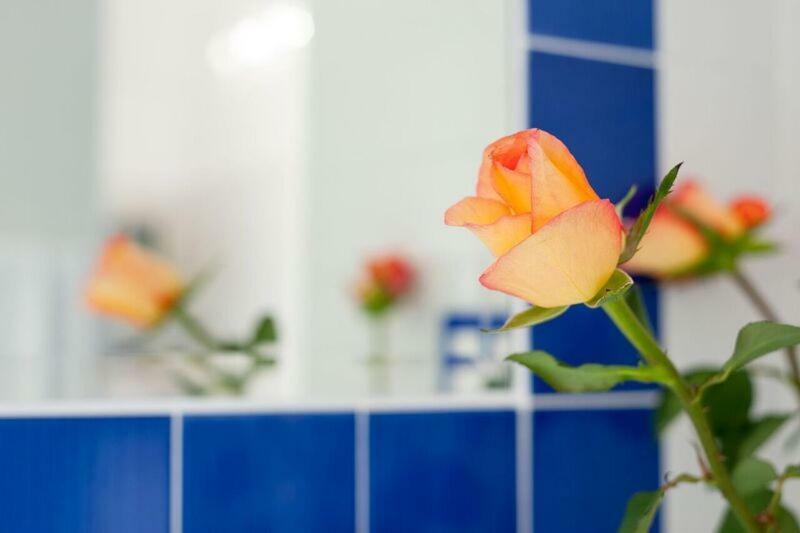Casa Amore S Lucia アマルフィ エクステリア 写真